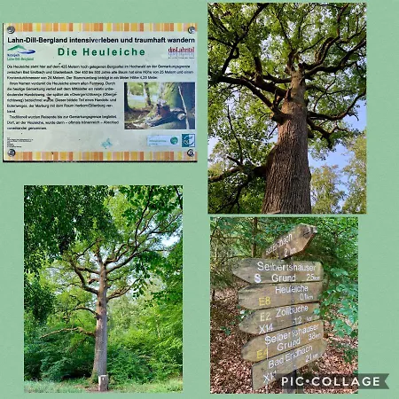 Apartmenthaus Ruhezeit *