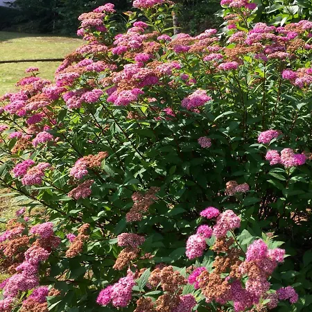 Apartment Apartmenthaus Ruhezeit