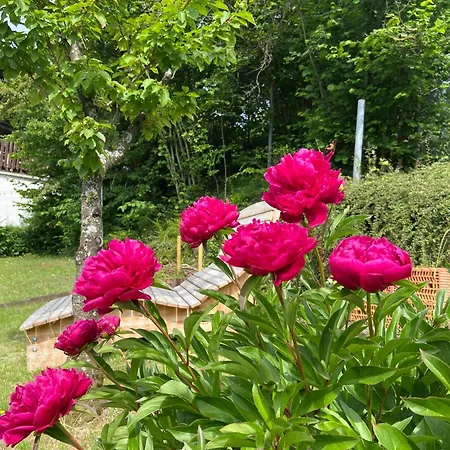 Apartmenthaus Ruhezeit Daire