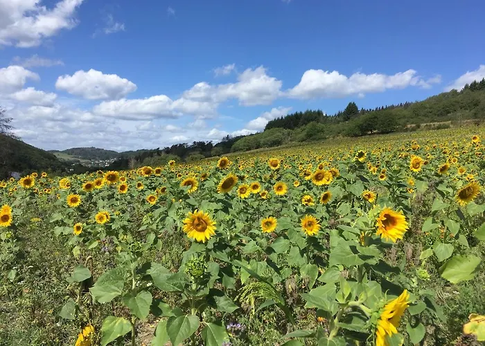 Apartmenthaus Ruhezeit Apartmán Bad Endbach