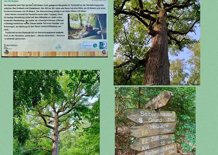 Apartmenthaus Ruhezeit *