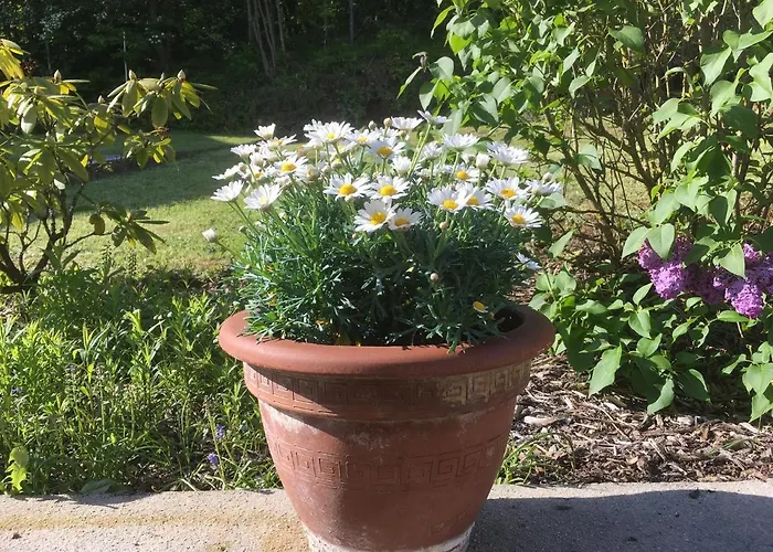 Appartement Apartmenthaus Ruhezeit *