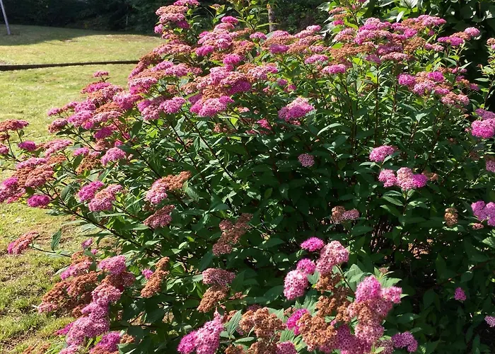 Apartmán Apartmenthaus Ruhezeit