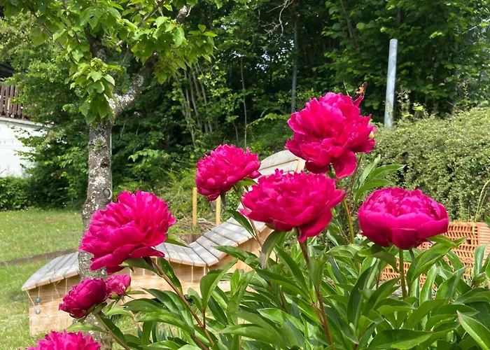 Apartmenthaus Ruhezeit Appartement